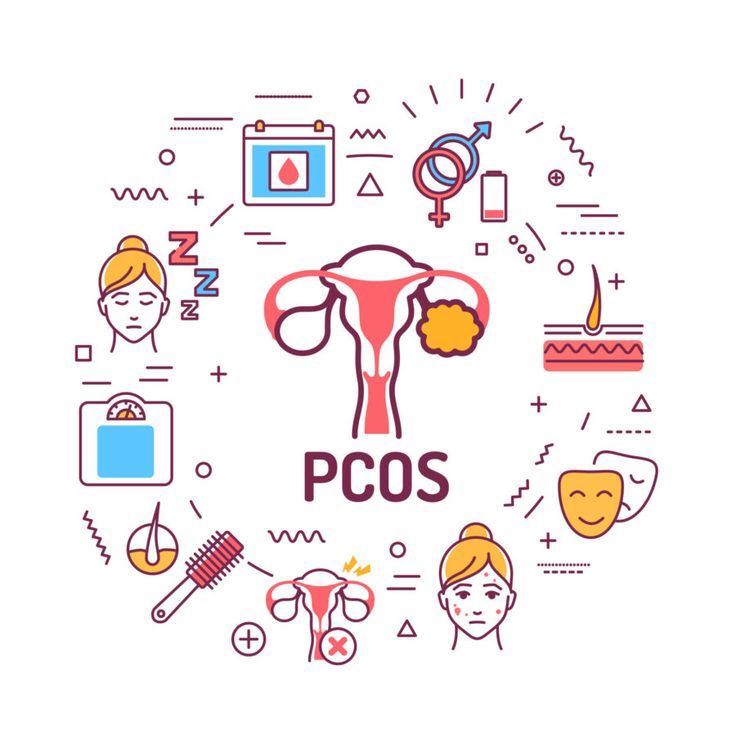 What is PCOS? Causes, Symptoms, and Treatment Facts| HEH 2 WhatsApp Image 2025 07 11 at 10.06.35 PM 1