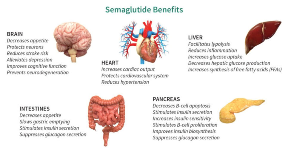Ozempic for Weight Loss: Benefits, Results & What to Expect| HEH 3 image 29
